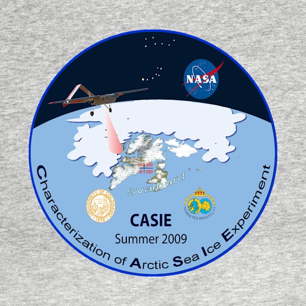 Characterization of Arctic Sea Ice Experiment 2009 Logo by Spacestuffplus